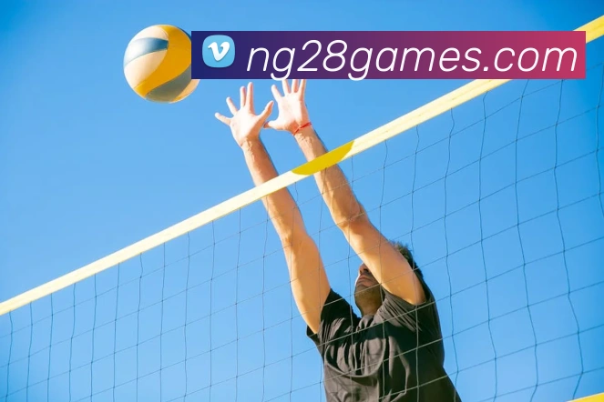 App Interface Preview